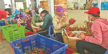 滇臺連線 深化市場調研，共拓合作新局