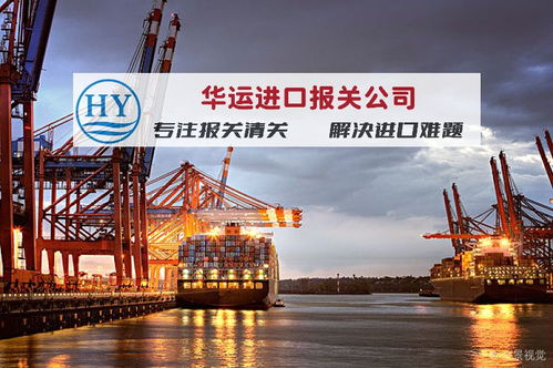 專業(yè)門到門 上海海運(yùn)榴蓮進(jìn)口清關(guān)與全程運(yùn)輸代理全攻略
